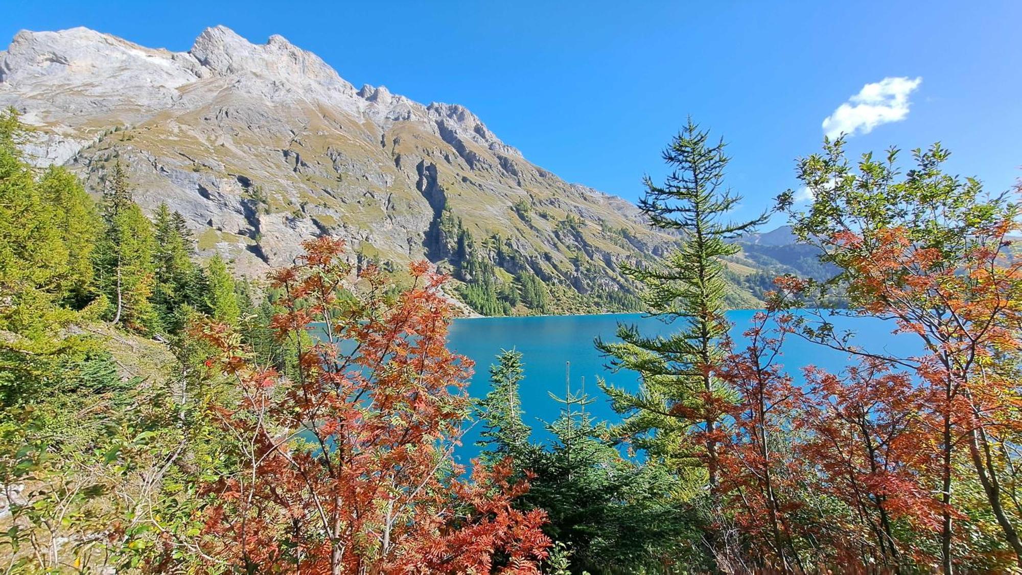 Chalet Diognysos B&B, Boutique Hotel & Wellness Crans-Montana Bagian luar foto